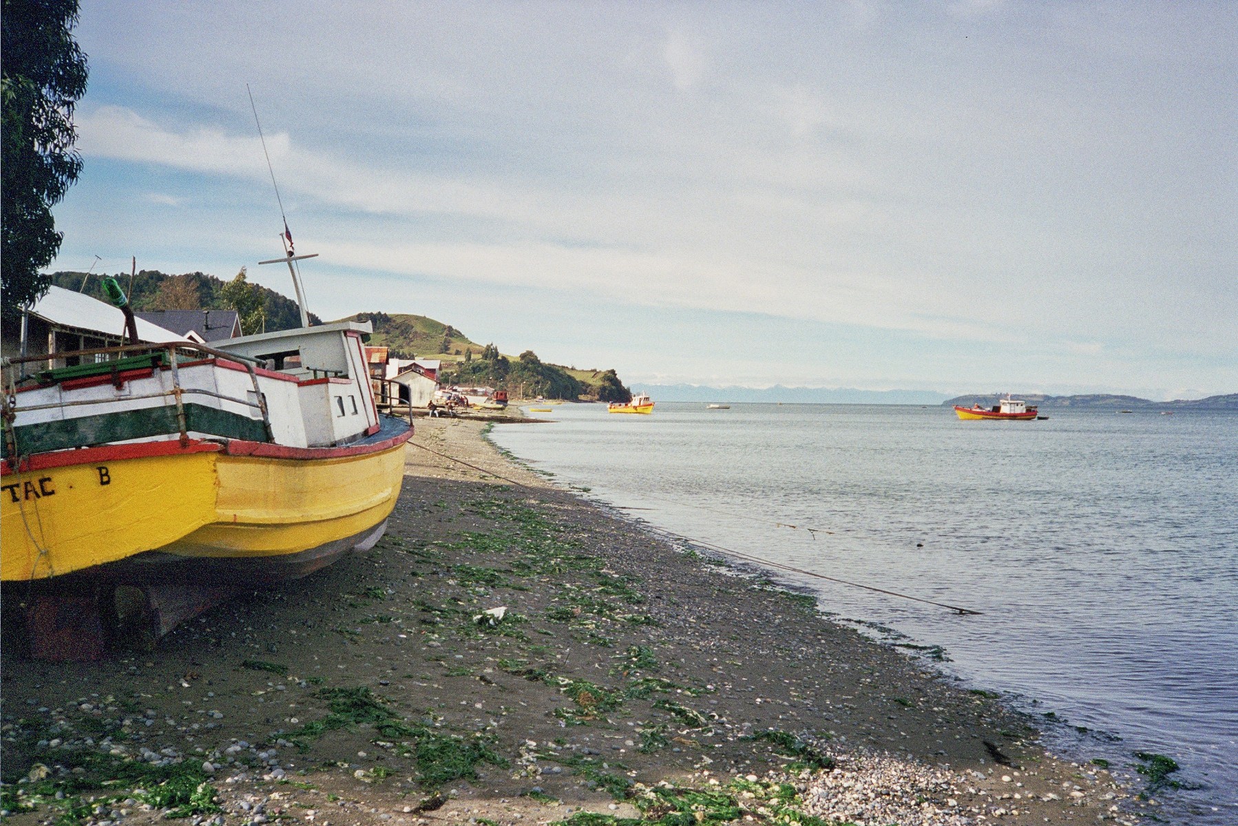 928 Playa%20de%20Tenaun Al%20fondo%20costa%20Austral Chiloe