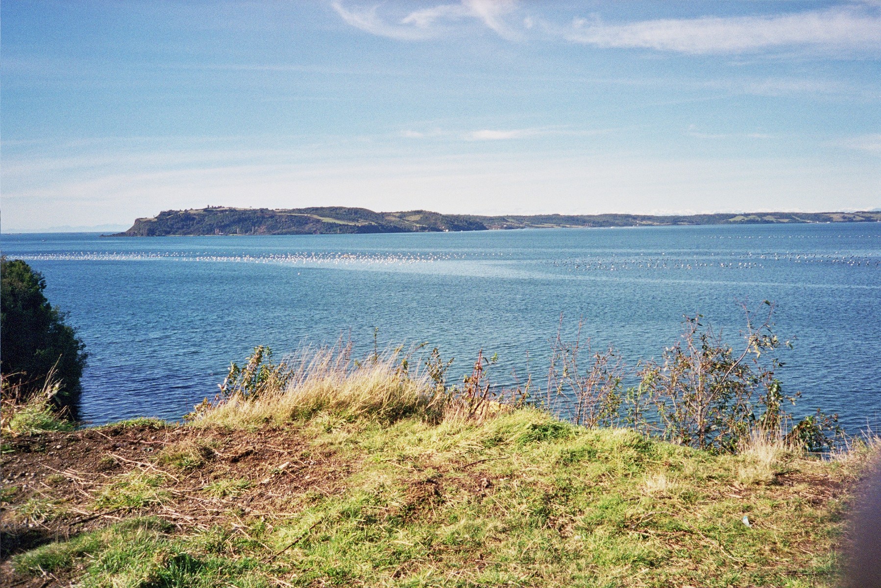 928 Tenaun Al%20frente%20Isla%20Mechque Chiloe