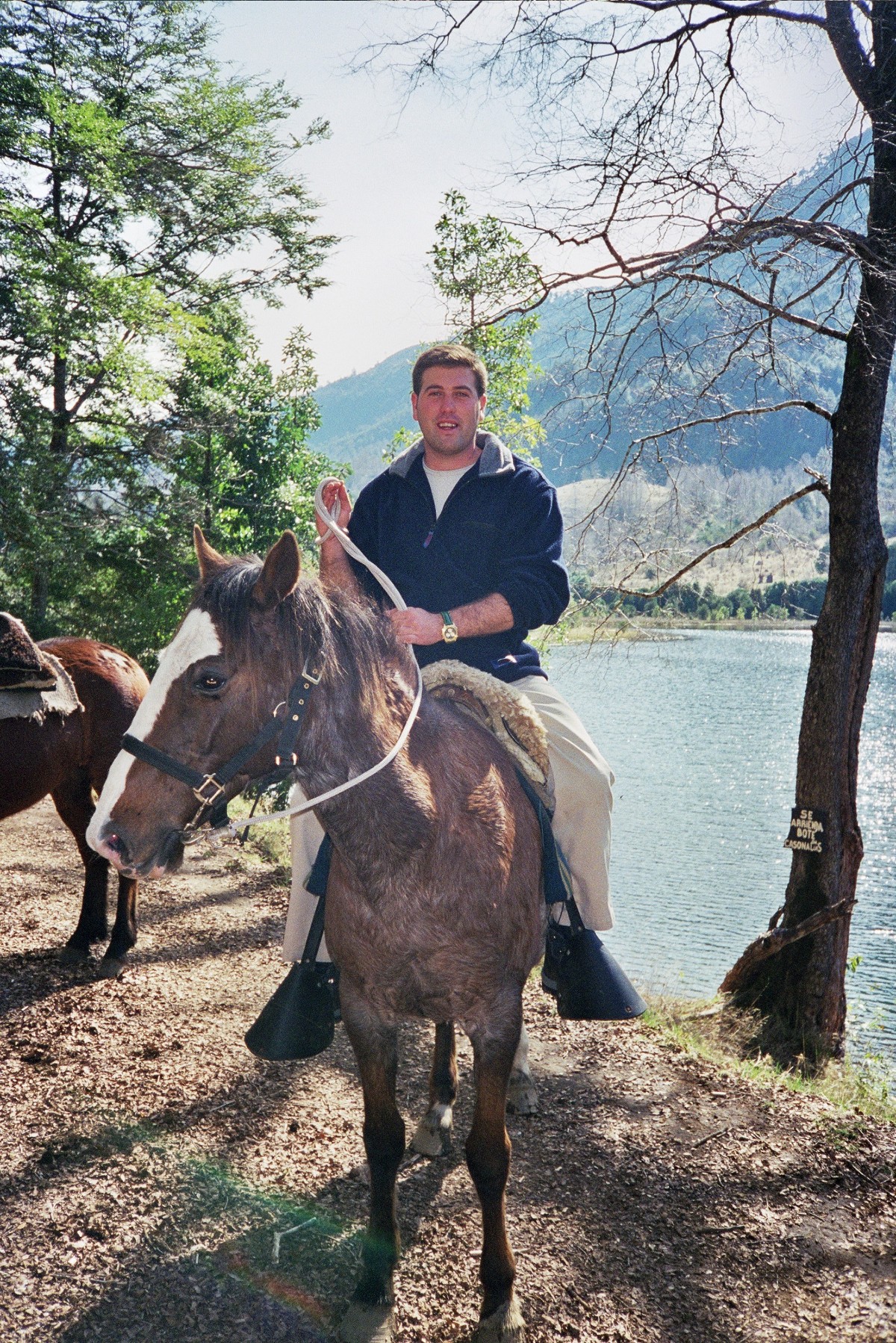 952 Ruta%20a%20Caballo Villarrica