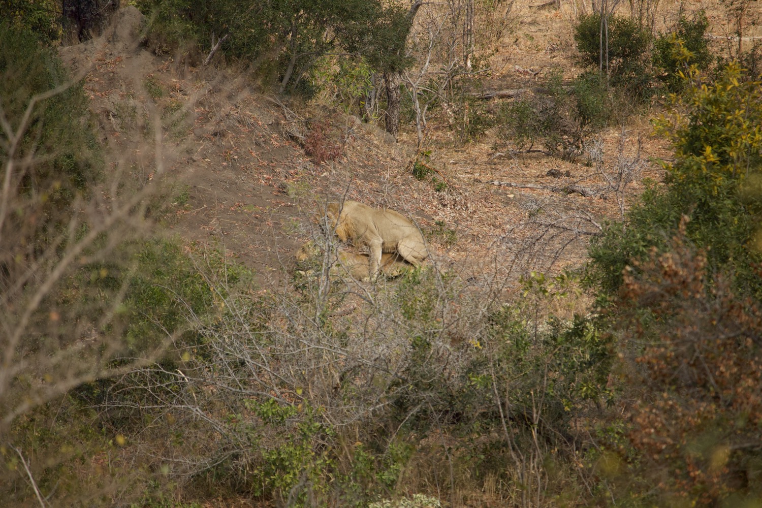 Canon%20EOS%20700D%205184x3456_000550.jpeg