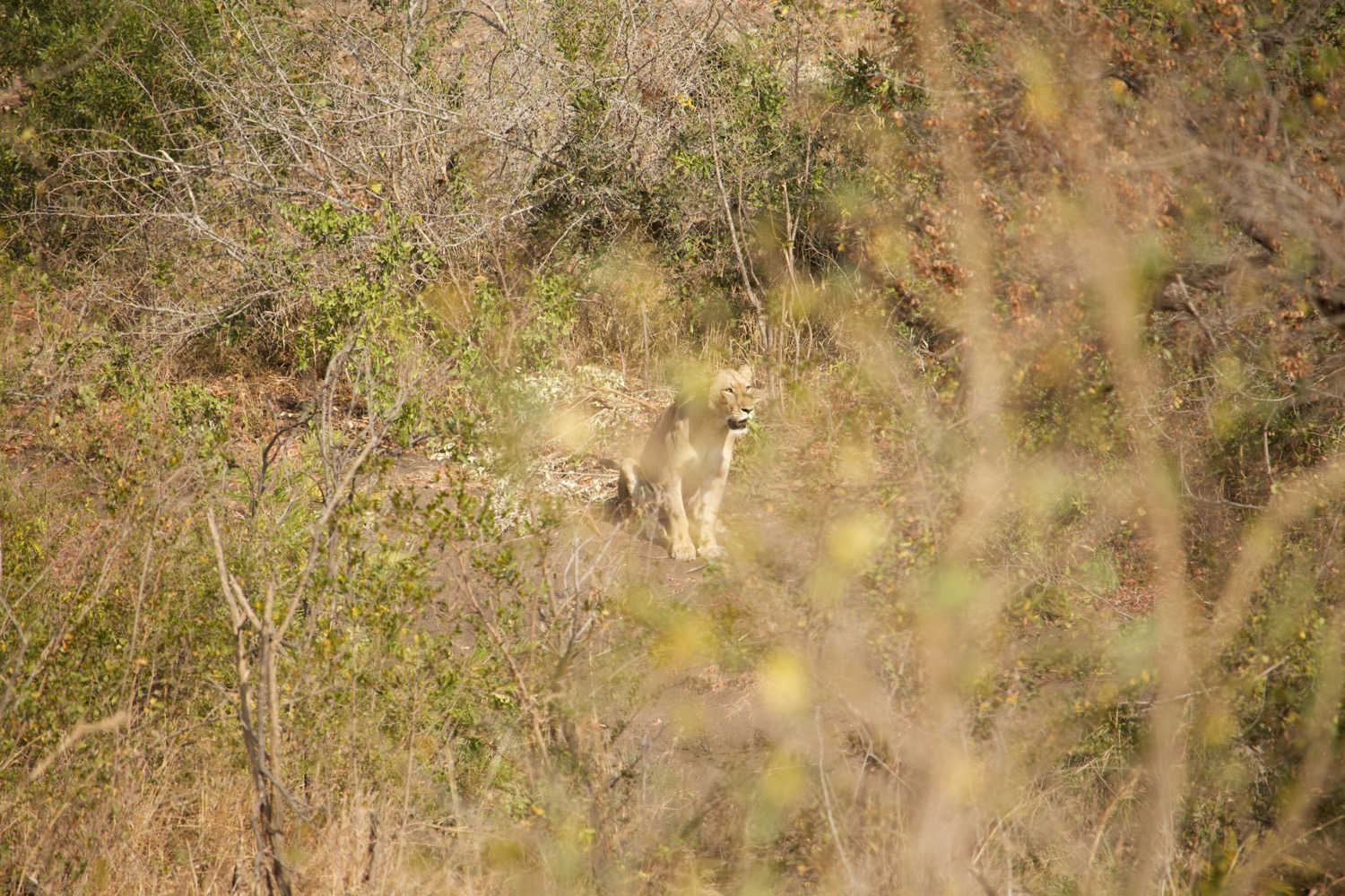 Canon%20EOS%20700D%205184x3456_002215.jpeg