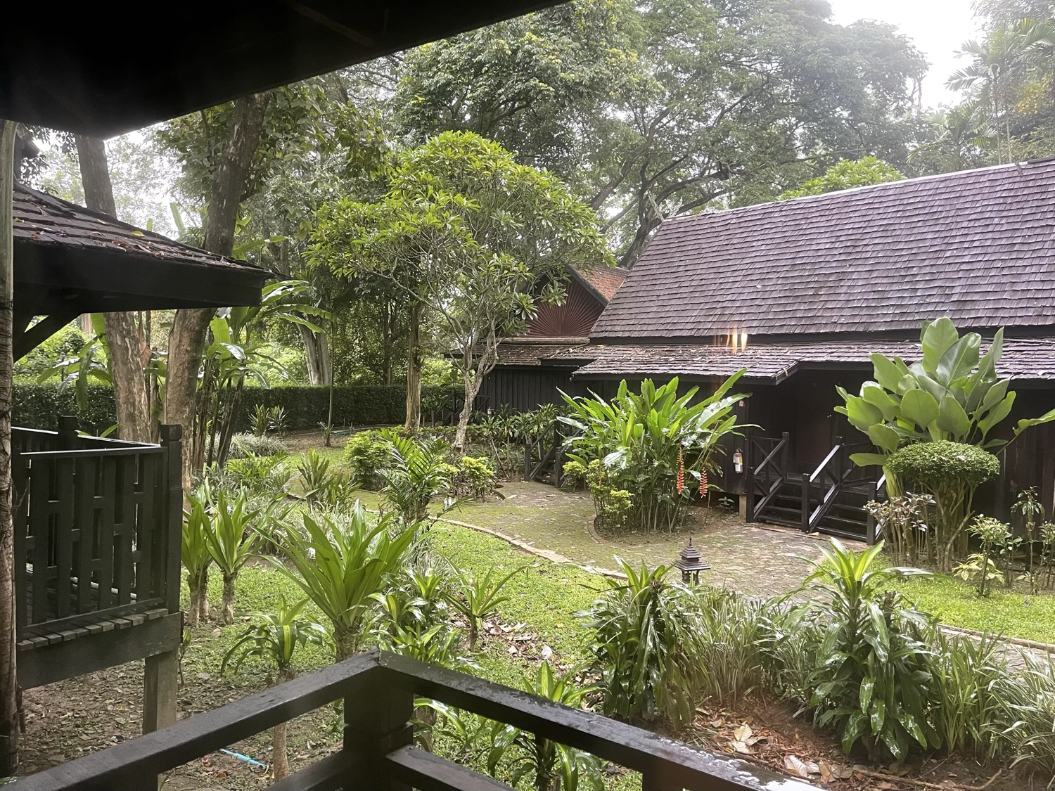 IMG_3585.jpeg
