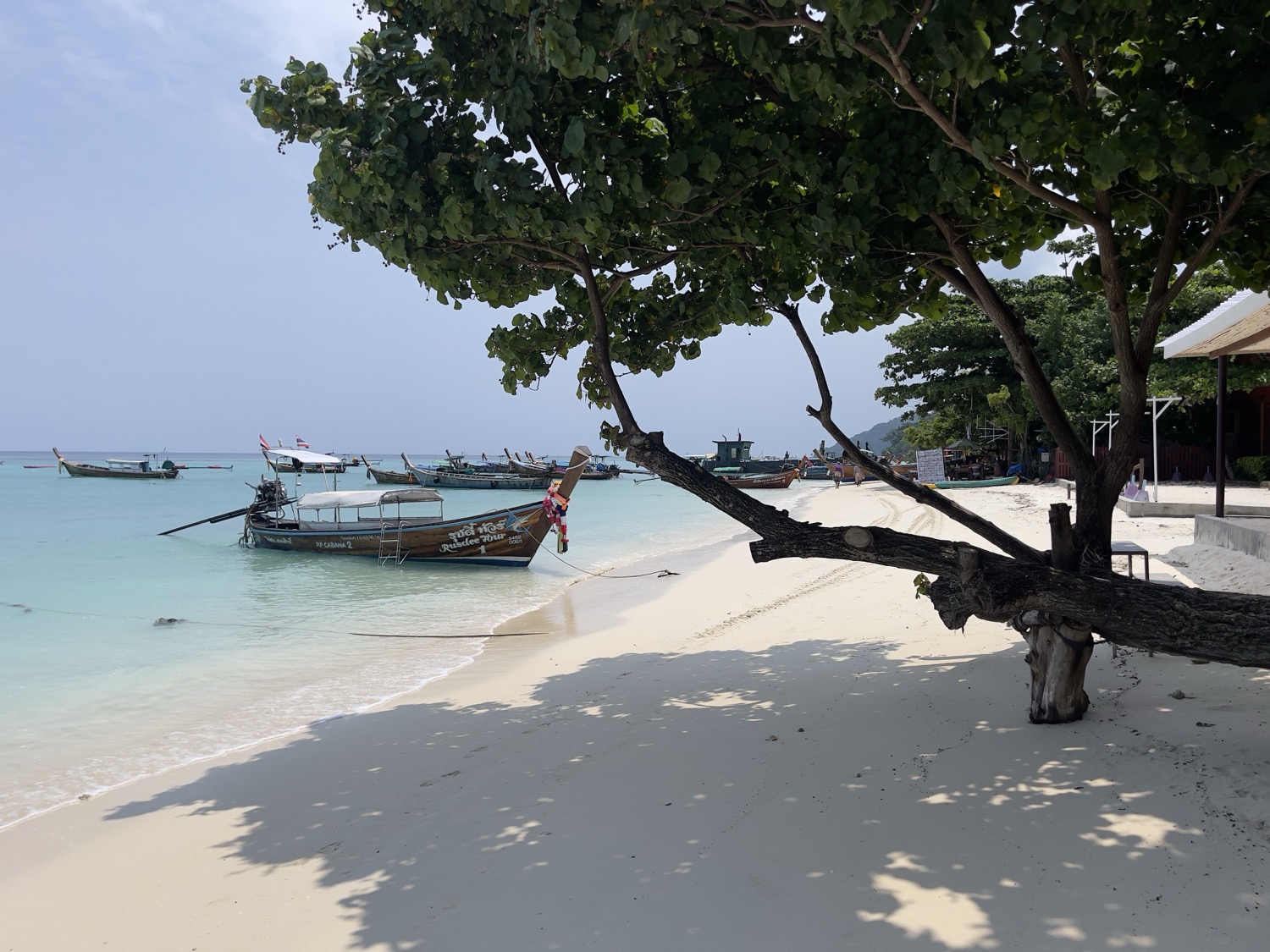 IMG_4327.jpeg
