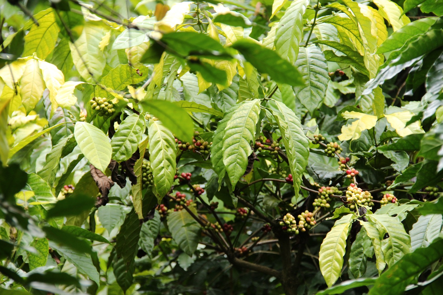 IMG_6328.JPG