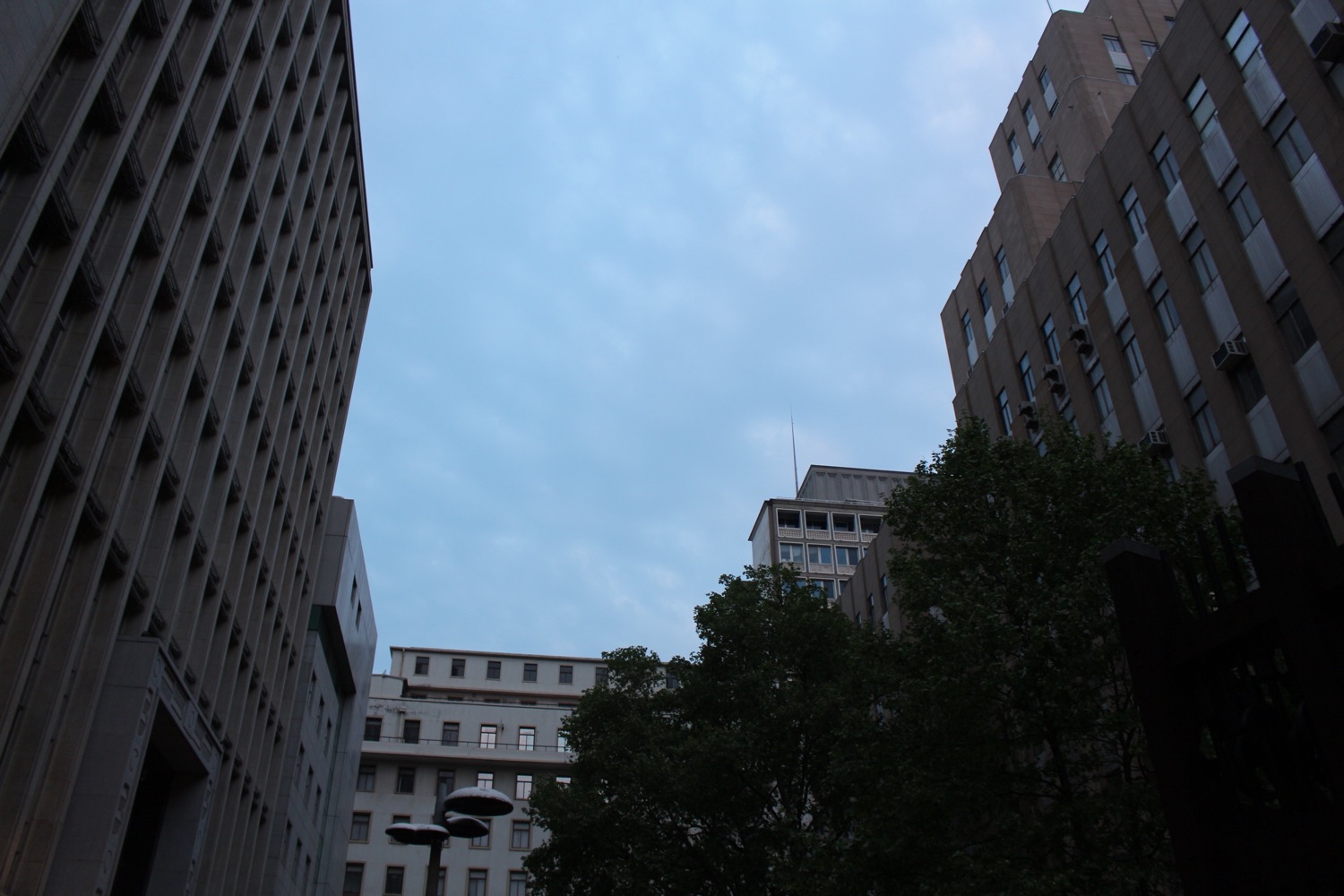 IMG_8123.jpeg