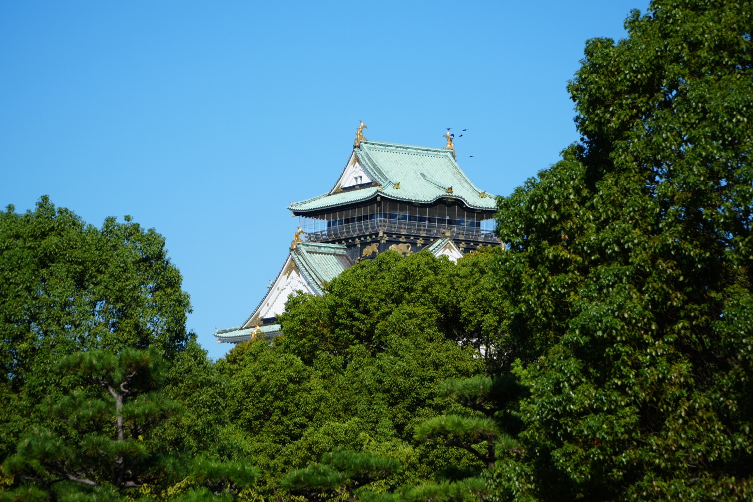 ITR02285.JPG