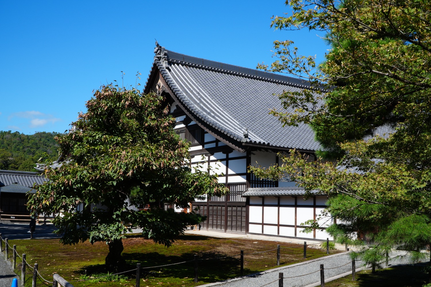 ITR02819.JPG
